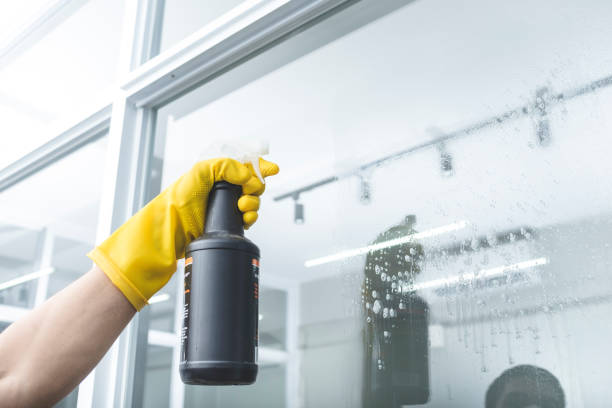 Does Ammonia Kill Mold? (What You Should Know)